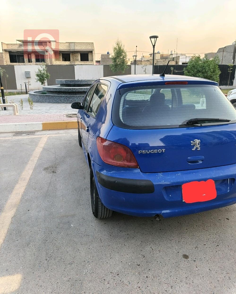 بيجو 307